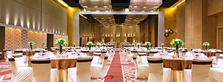 535/The Westin Hyderabad Mindspace - Hyderabad 11.jpg